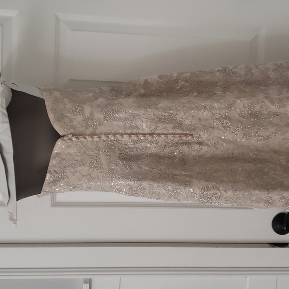 champagne colored Wedding dress - Picture 5 of 7